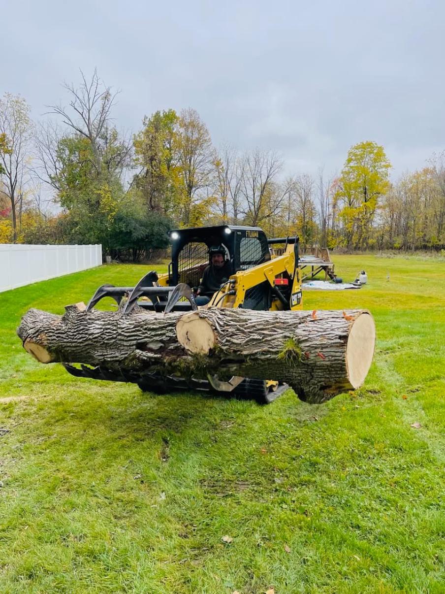Tree Cutting Service in Livingston County, NY | Seiferts Tree LLC
